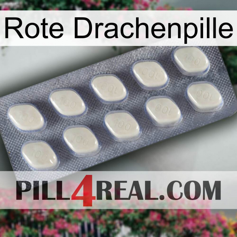 Red Dragon Pill 08